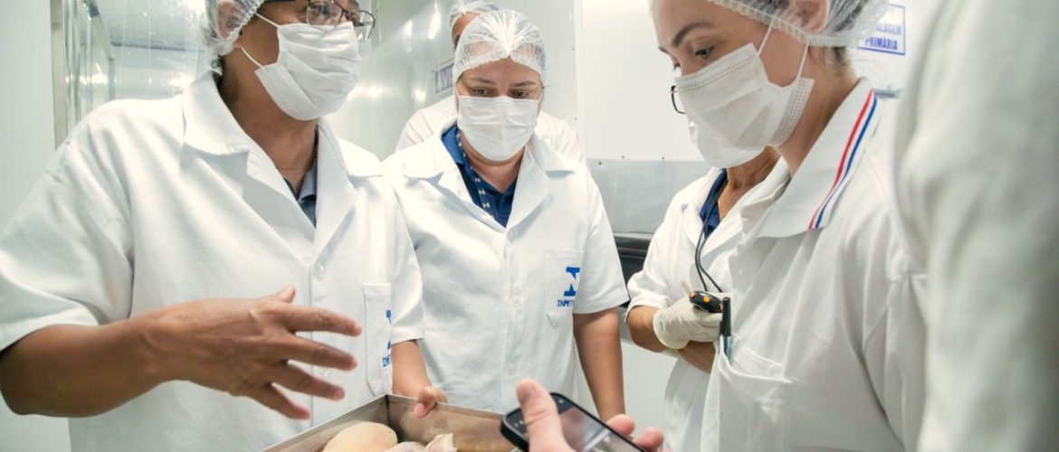 Fiscalização encontra irregularidades em pescados congelados em entreposto de Arniqueira