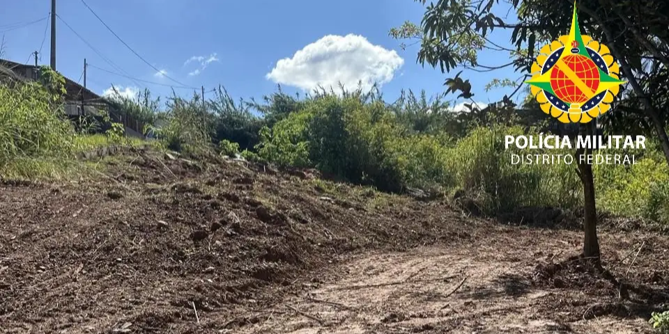 Crime ambiental é flagrado em Área de Preservação Permanente em Arniqueira