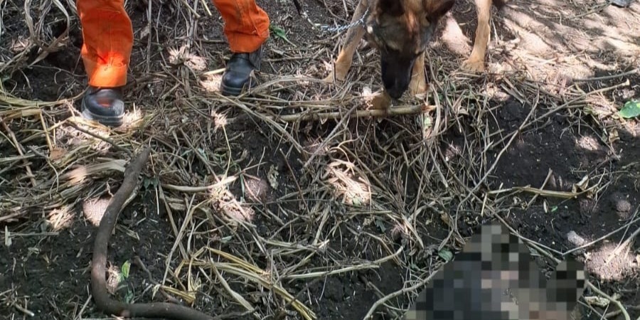 Corpo de mulher é encontrado na região próxima ao Curral, em Arniqueira