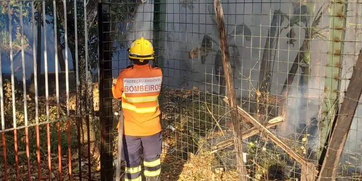 Homem é detido após atear fogo no Parque do Areal