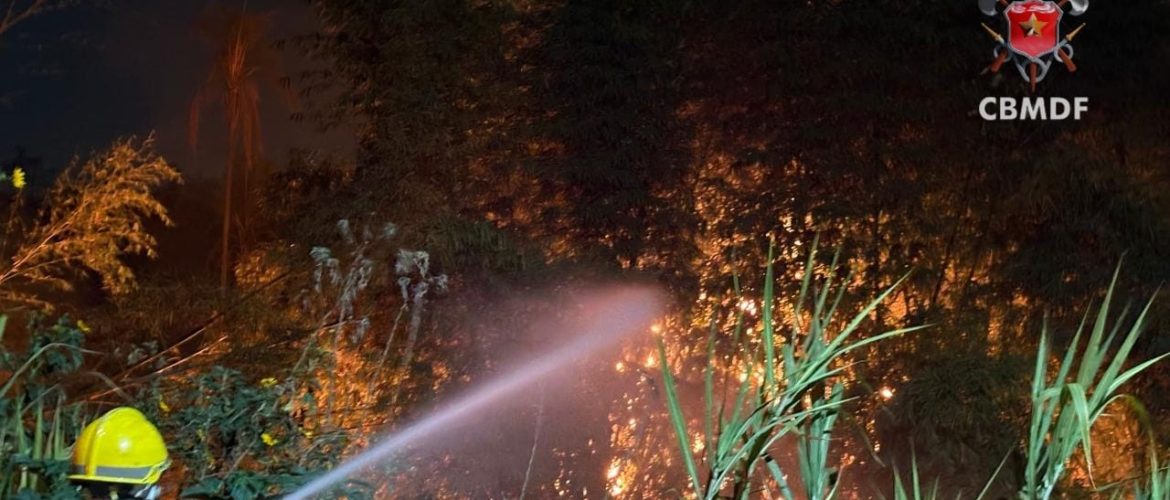 Bombeiros controlam incêndio em bambuzal em Arniqueira